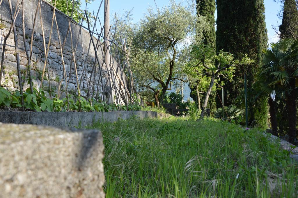 Villa Arco Climbing Extérieur photo