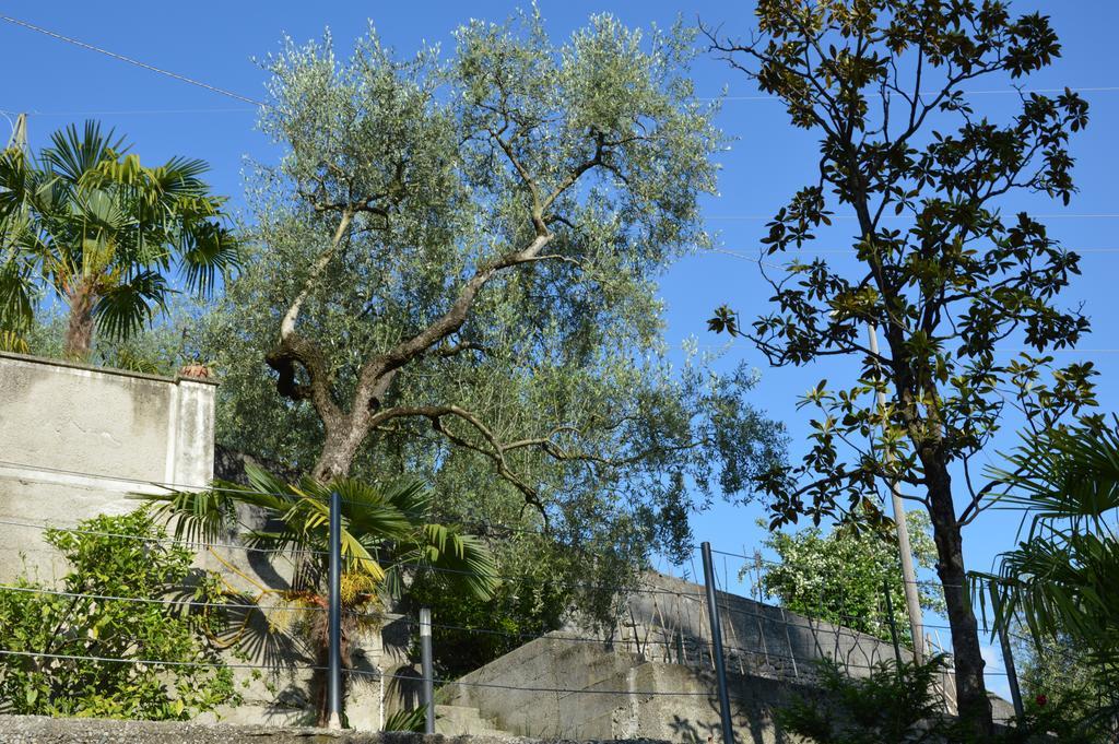 Villa Arco Climbing Extérieur photo